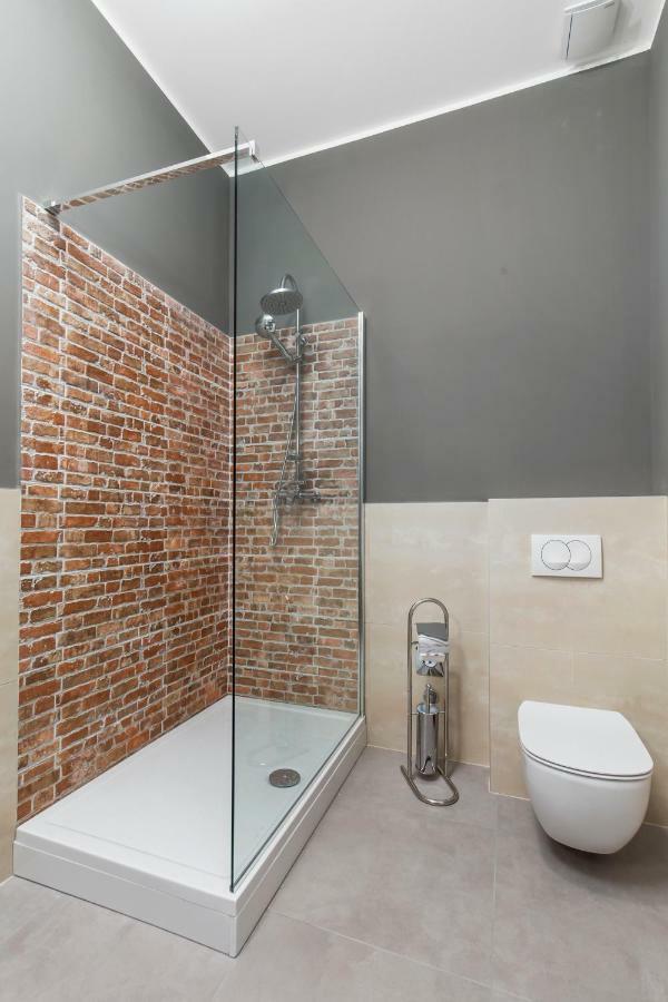 רייקה Apartments Carpathia מראה חיצוני תמונה